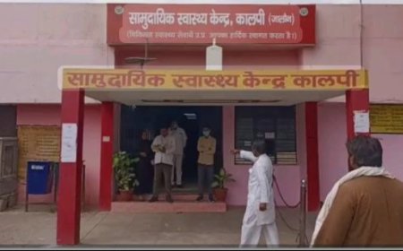 घर की सफाई कर रही महिला को सर्प ने काटा,अस्पताल में भर्ती।