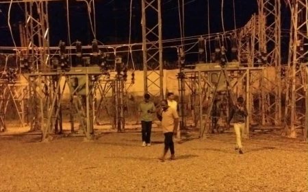 पक्षी के फंसने से हाईटेंशन विद्युत लाइन में आया फॉल्ट