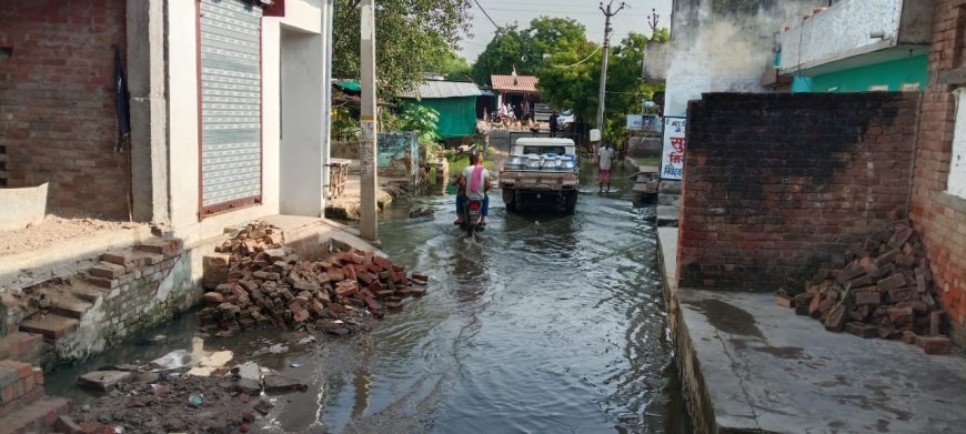नाले की सफाई न होने से मोहल्ले में हो रहा जल भराव
