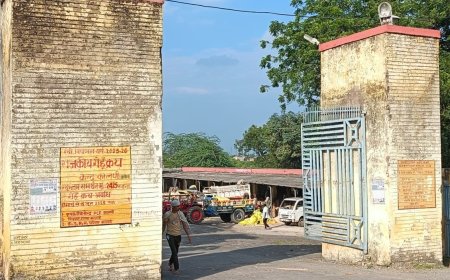 उपनिदेशक ने गल्ला मंडी का औचक निरीक्षण कर दिये जरूरी निर्देश