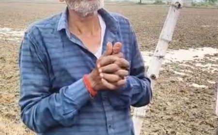 झमाझम बारिश नें किसनों की तोड़ी कमर बोई गई फसलें हुई बर्वाद