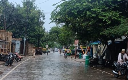 झमाझम बरसात से जनजीवन प्रभावित होने से सड़कों में पसरा सन्नाटा, फसलें हुई क्षतिग्रस्त