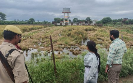 अतिवृष्टि से बर्वाद हुई फसल का एस डी एम ने किया निरीक्षण