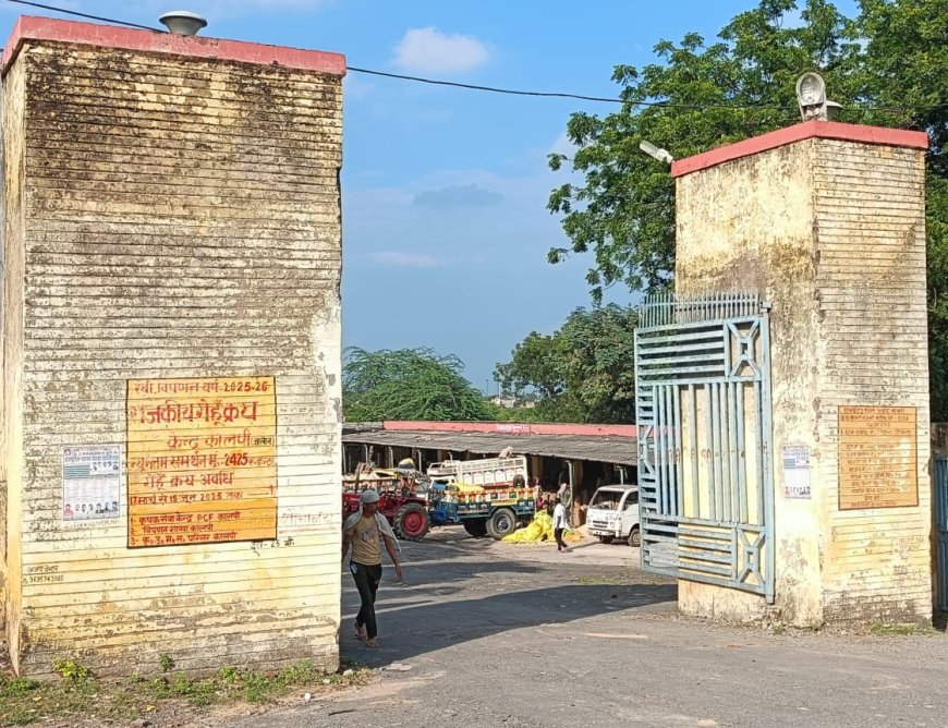 उपनिदेशक ने गल्ला मंडी का औचक निरीक्षण कर दिये जरूरी निर्देश
