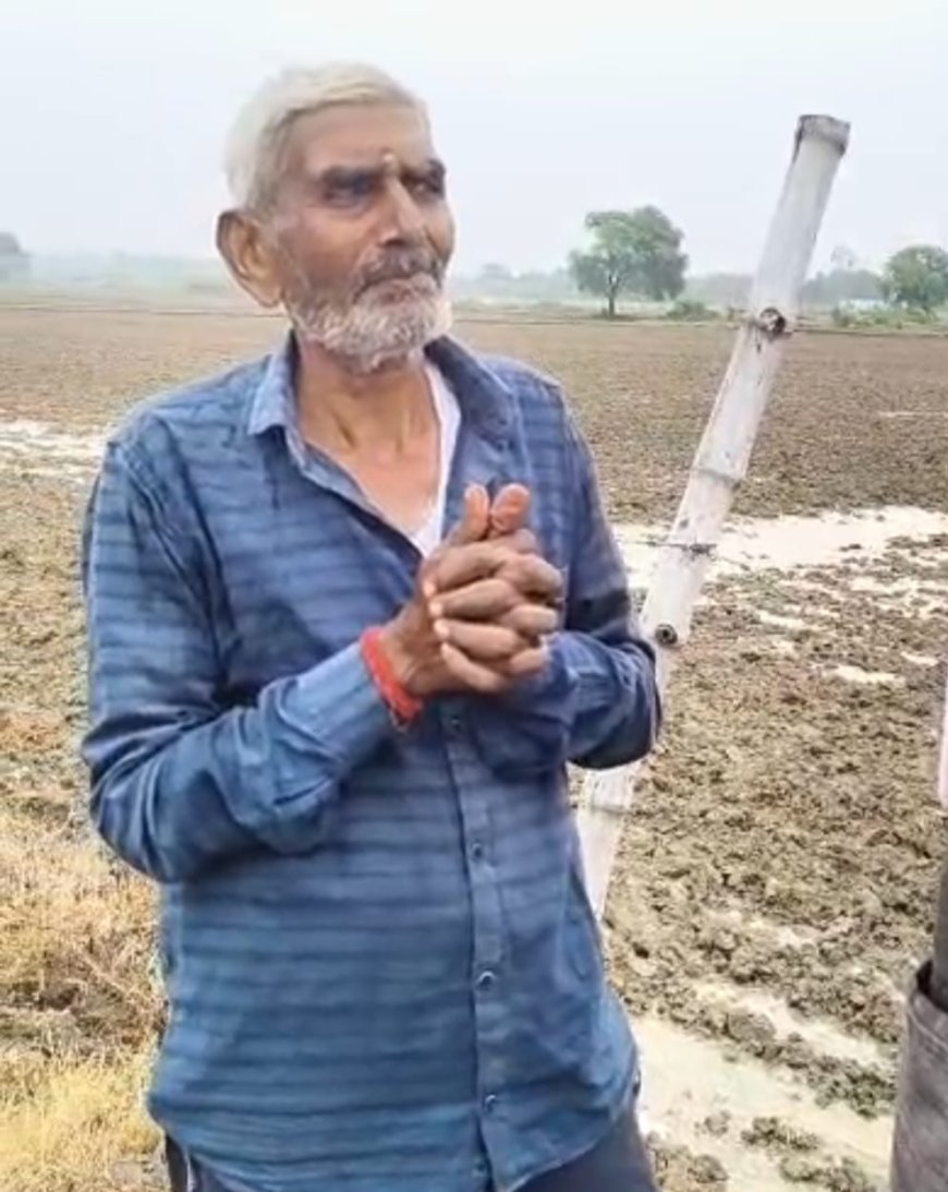 झमाझम बारिश नें किसनों की तोड़ी कमर बोई गई फसलें हुई बर्वाद