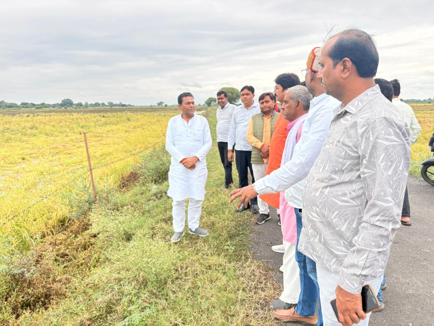 क्षेत्रीय बिधायक व पालिकाध्यक्ष ने ग्रामों में अतिवृष्टि से हुए नुकसान का किया निरीक्षण