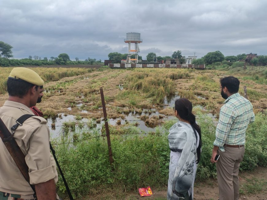 अतिवृष्टि से बर्वाद हुई फसल का एस डी एम ने किया निरीक्षण