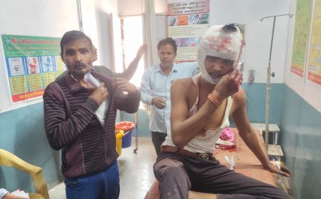 फरसा मारकर किया घायल