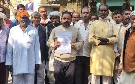 प्रशासन से ग्रामीणों को मिला खोखला आश्वासन खुद कर रहे है गौवंशजों के चारे की व्यबस्था