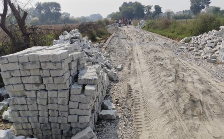 मानक विहीन डल रहे इंटर लॉकिंग मार्ग की एस डी एम से की शिकायत