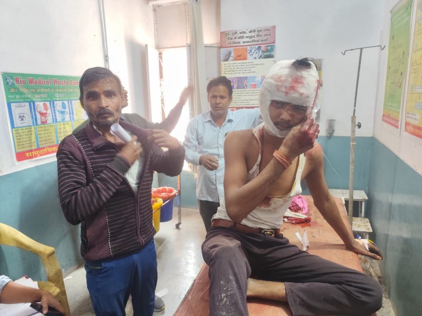 फरसा मारकर किया घायल