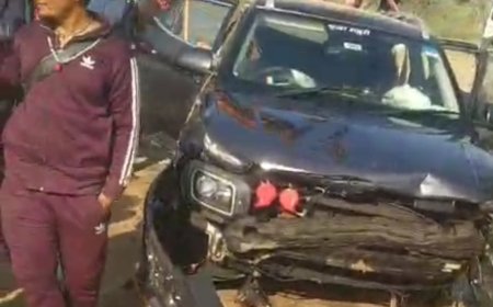 रात में सड़क पर जानवर आने से बाइक फिसली,दोनों सवार गंभीर रूप से घायल