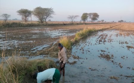ओबर फ्लो नहर से किसानों के खेत हुए जलमग्न