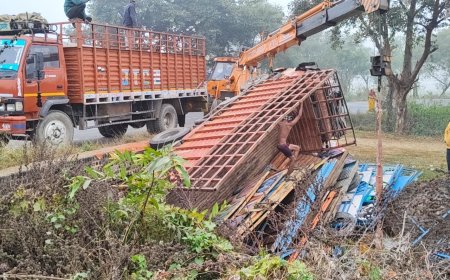 मेले का सामान ले जा रहा ट्रक खाई में पलटा