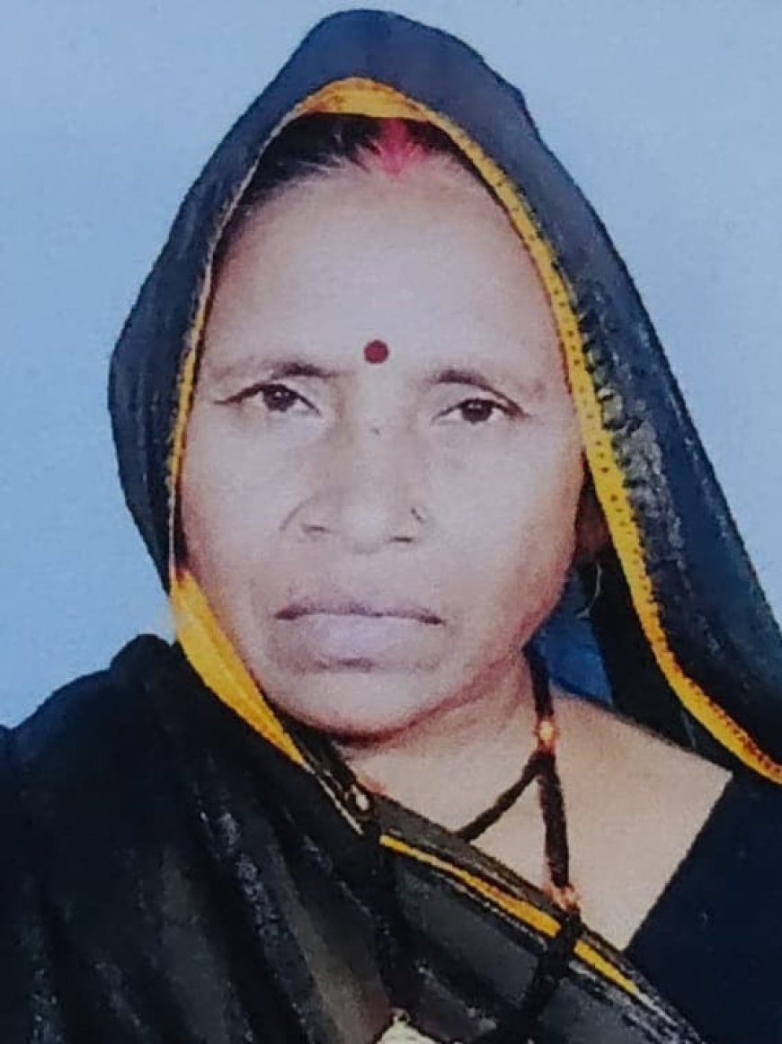 पीछे से आ रहे ई रिक्शा ने बाईक में मारी टक्कर महिला की हुई मौत