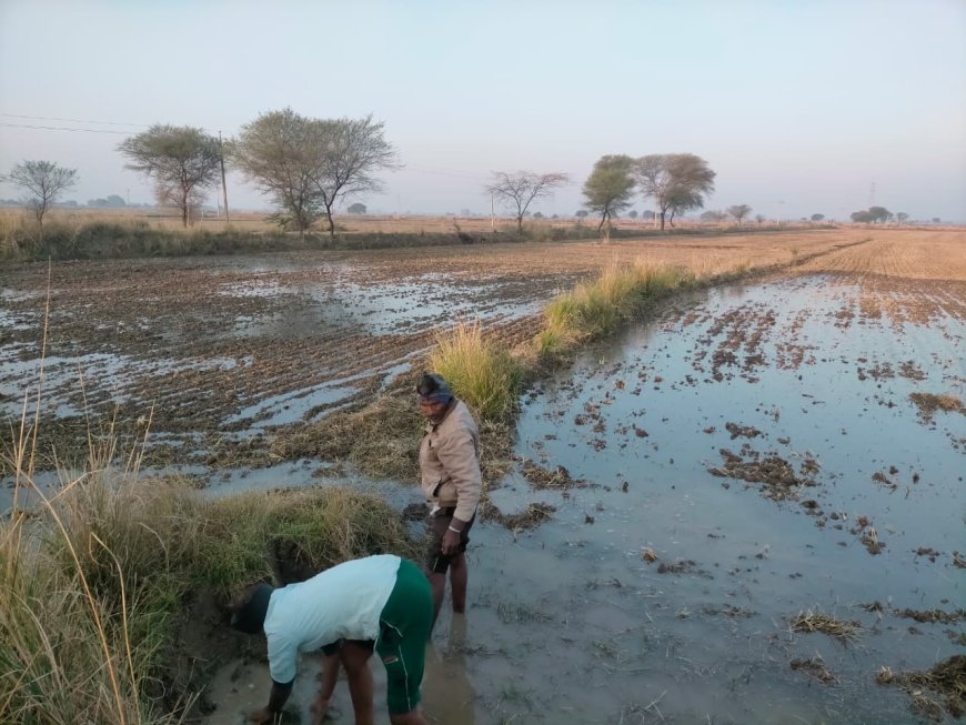 ओबर फ्लो नहर से किसानों के खेत हुए जलमग्न
