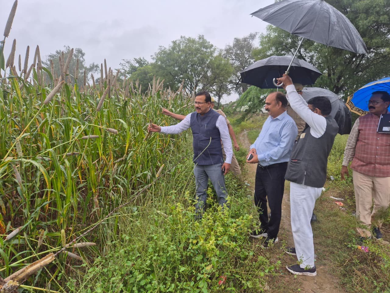 बारिश के बीच खेतों में पहुंचकर लिया फसलों के नुकसान का जायजा — जिलाधिकारी ने दिए त्वरित सर्वे एवं राहत के निर्देश