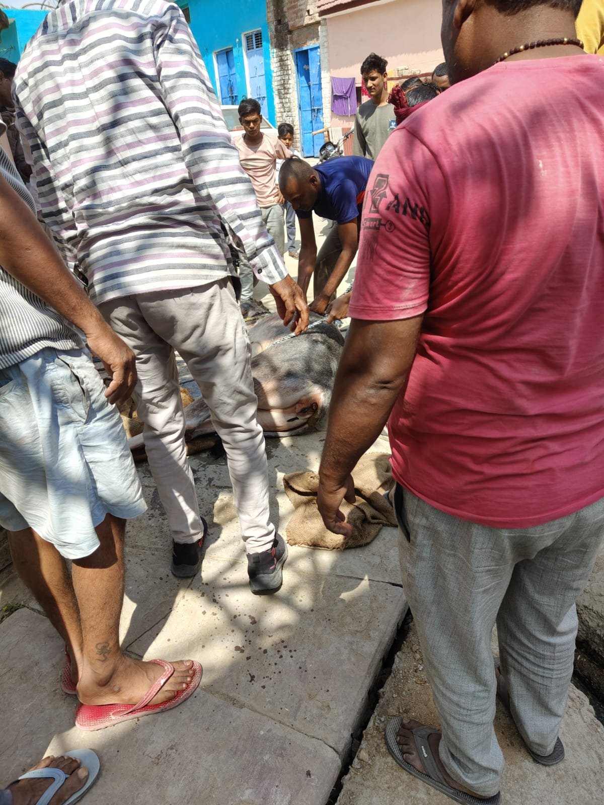 खुले कुएं में गिरी गाय, घंटों की मशक्कत के बाद रेस्क्यू की कोशिश जारी