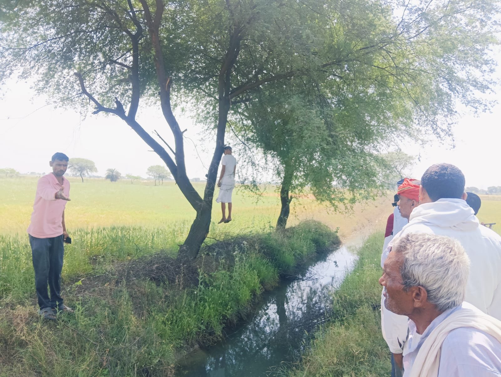 पेड़ से लटकता मिला बुजुर्ग का शव, क्षेत्र में फैली सनसनी
