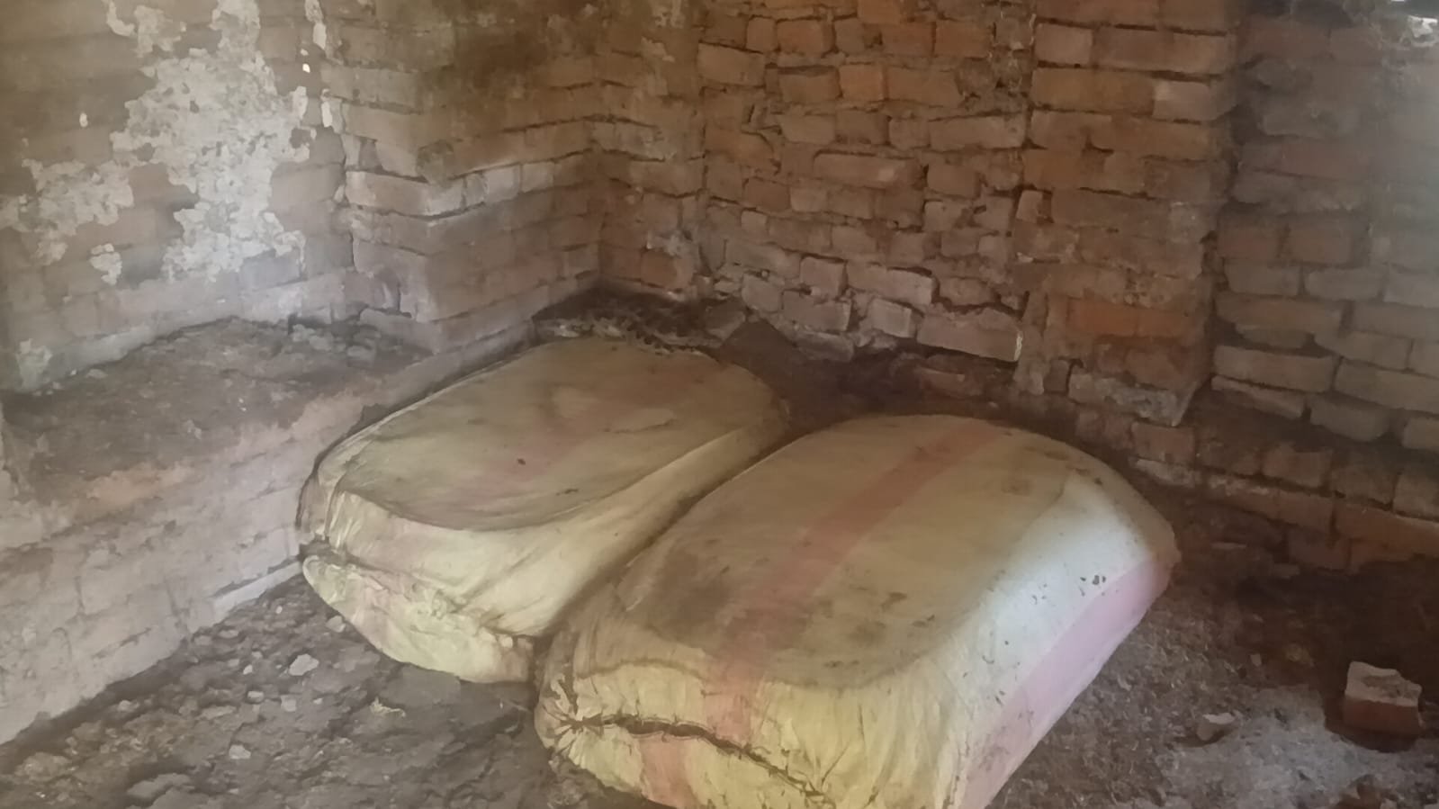 भूसा घर में अजगर निकलने से मचा हड़कम्प