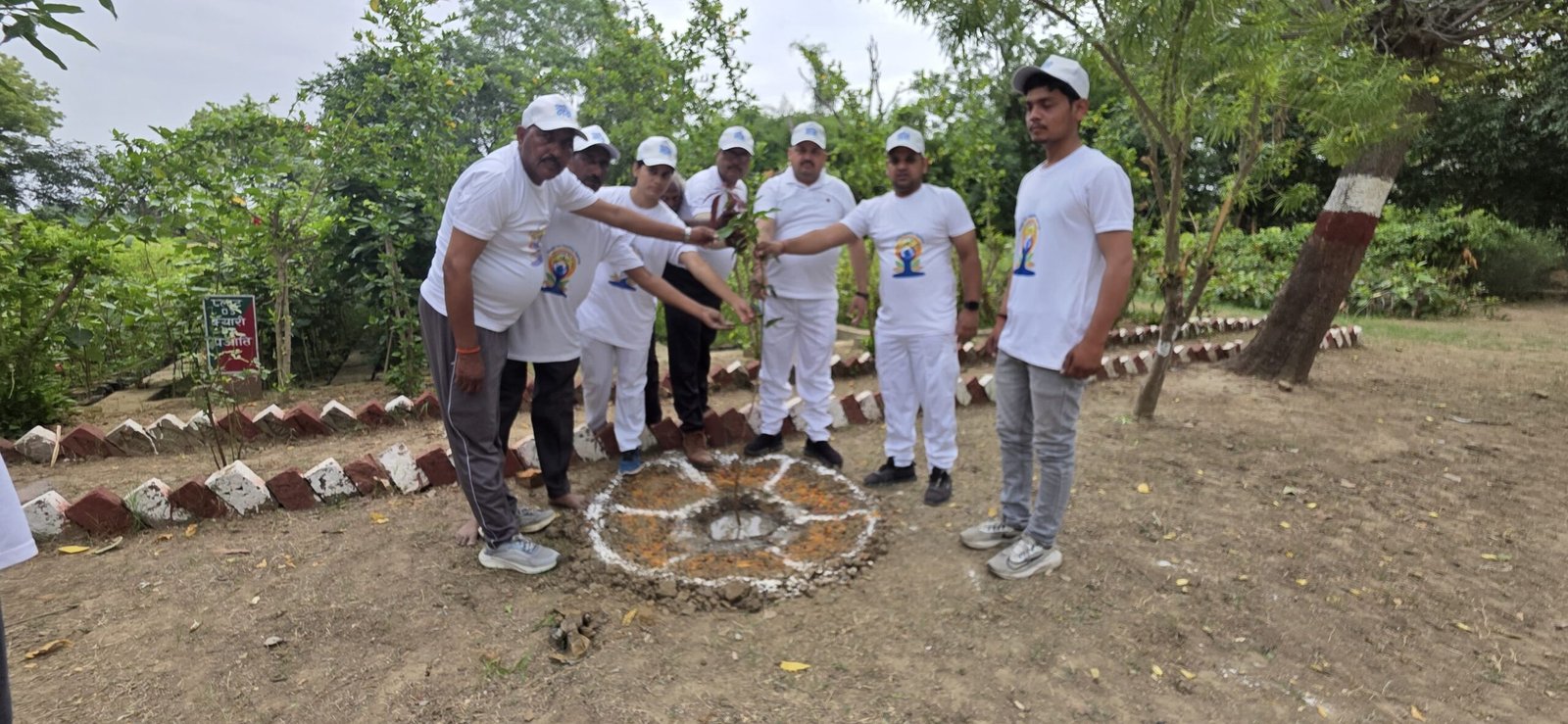बारहबे अंतरराष्ट्रीय योग दिवस पर बन क्षेत्राधिकारी ने हरित क्रांति का दिया संदेश