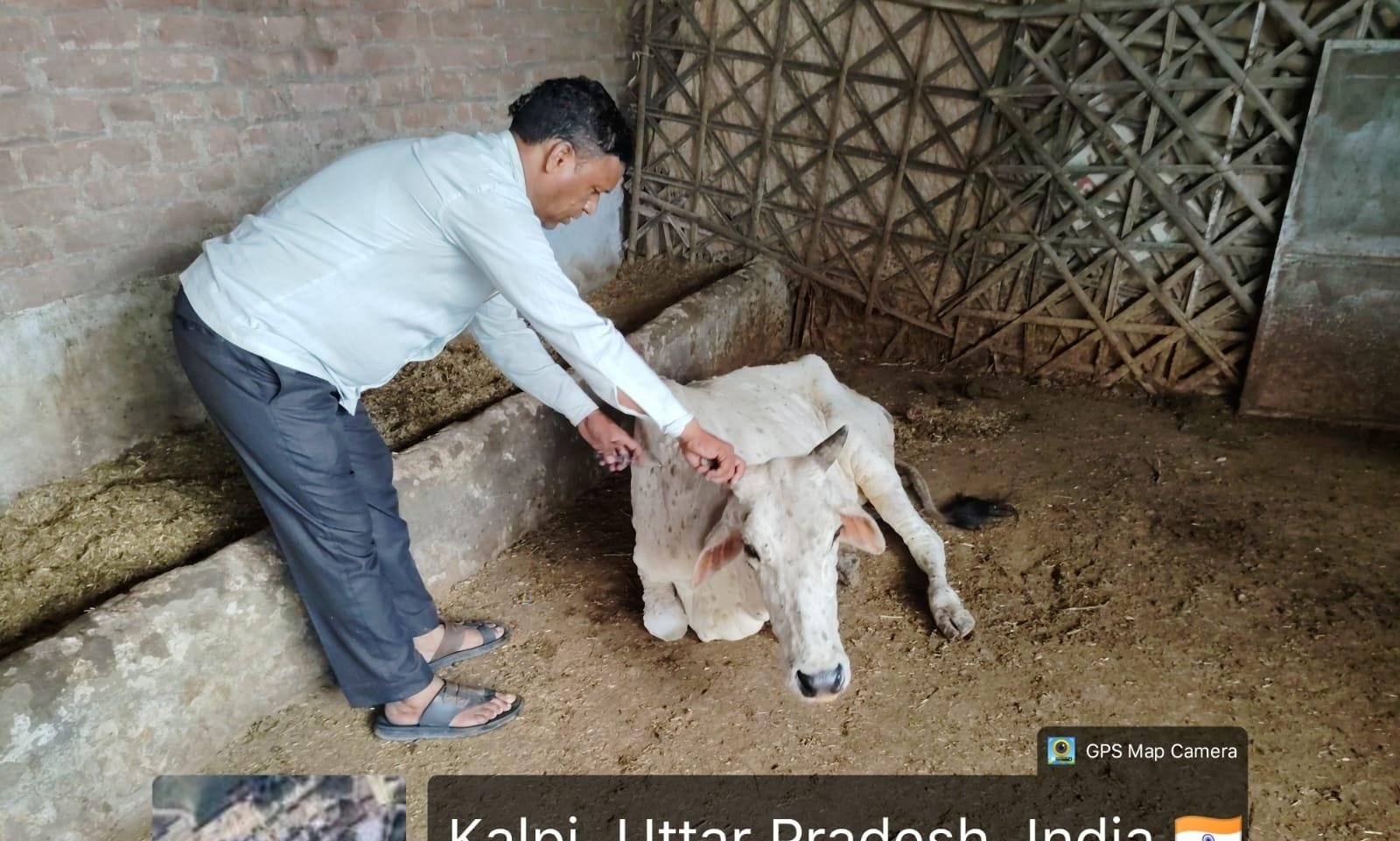 लंपी रोग को लेकर पशुपालकों ने जताई चिंता