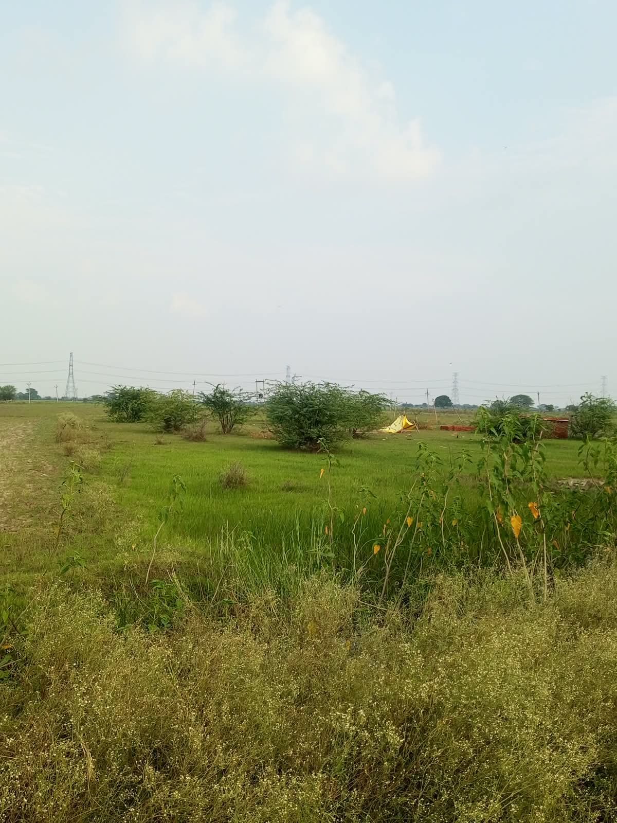 ग्राम भेड में लगेगा 5 mba का ट्रांसफार्मर क्षेत्र वासियों को मिलेगी बिजली
